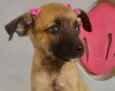 LAURINHA