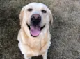 Hórus