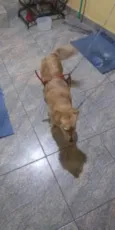 Abandonada