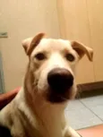 Spyky