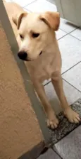 Spyky