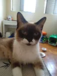 Mel