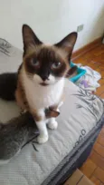 Mel