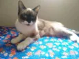 Mel