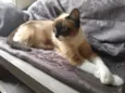 Mel