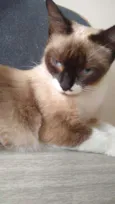 Mel