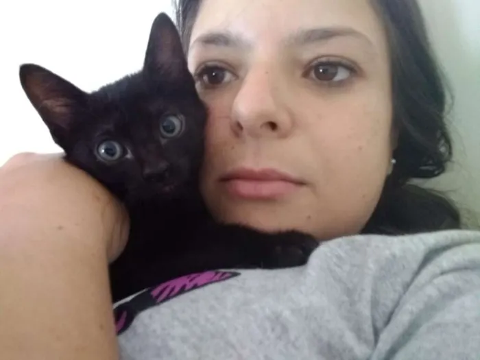 Gato ra a SRD idade 2 a 6 meses nome Melissa