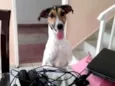 Mel
