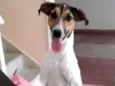 Mel