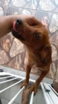 Mel
