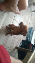 Mel