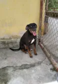 Zuza