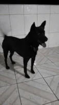 Théo 