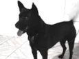 Théo 