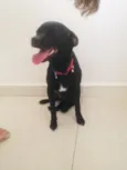 Doby