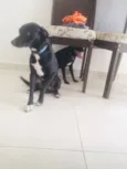 Doby