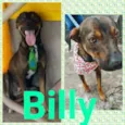 BILLY E BRUCE