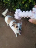 Manu