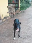 LUNA