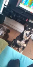 Lila & Neguinho