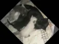 Não tem none