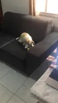 Lola