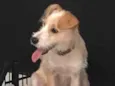 Lola