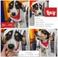 Lucy