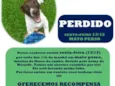 ricardo