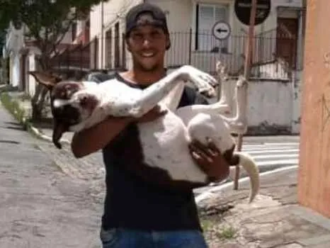 Cachorro ra a Não definida idade 2 anos nome Woody