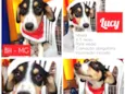 Lucy