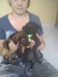 Negão e princesa
