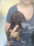 Negão e princesa