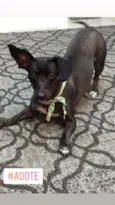 Babalu