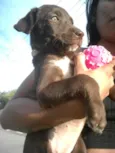 nina