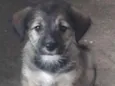Bebê 