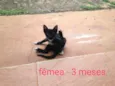 Sem nome
