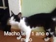 Sem nome