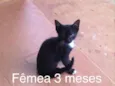 Sem nome