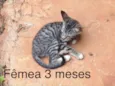 Sem nome