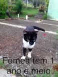 Sem nome