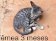 Sem nome