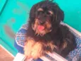 Belinha