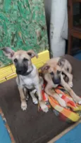Billy e Spyk