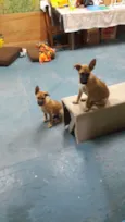 Billy e Spyk
