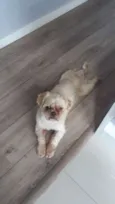 Bob