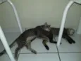Sinzi & tom