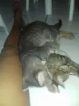 Sinzi & tom