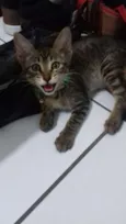 Sinzi & tom