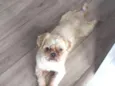 Bob